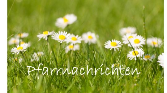 Pfarrnachrichten Frühling 2025